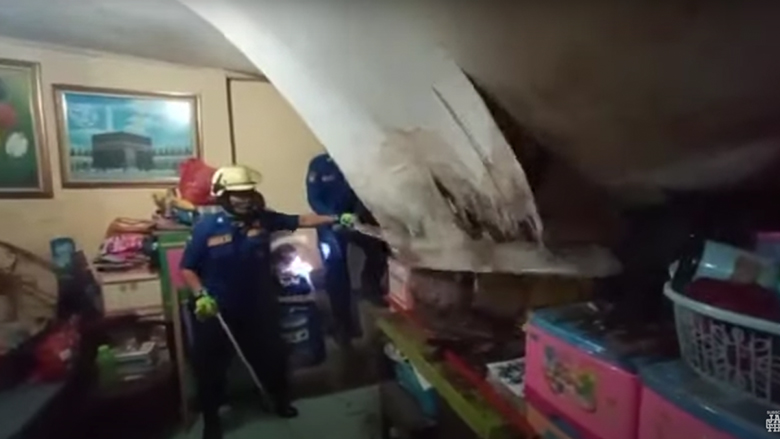 Πύθωνας στο ταβάνι ενός σπιτιού (Ινδονησία)