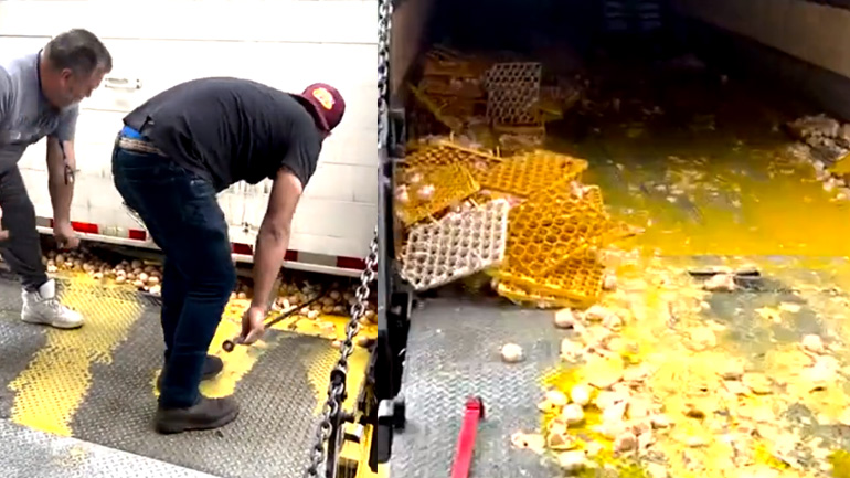 Μεταφέροντας αβγά με φορτηγό