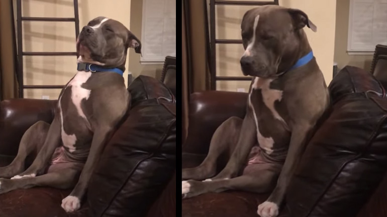 Όταν νυστάζεις και δεν θες να χαλάσεις την παρέα