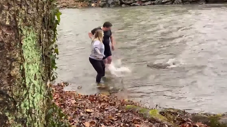 Ζευγάρι εναντίον κάστορα