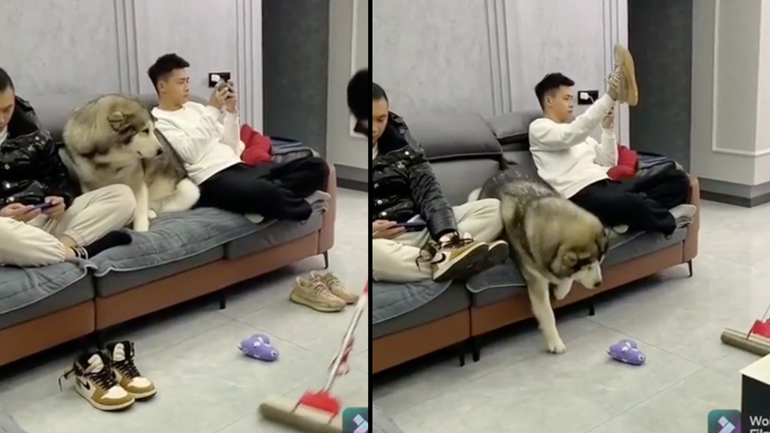 Καθαριότητα στο σπίτι 