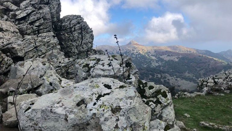 Ηφαιστειακές εκρήξεις πριν από εκατομμύρια χρόνια «έχτισαν» την άγρια ομορφιά του Λεσβιακού τοπίου