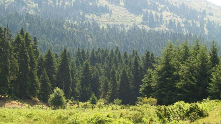 Λιβάδια Περτουλίου: Αμέτρητες οι ειδυλλιακές, σχεδόν παραμυθένιες εικόνες