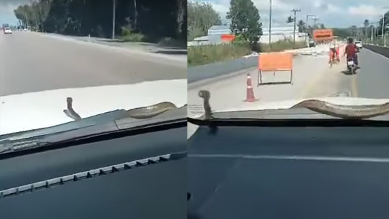 Είναι να μην σου τύχει…