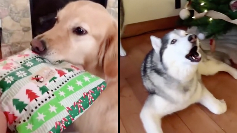 Το καλύτερο χριστουγεννιάτικο δώρο