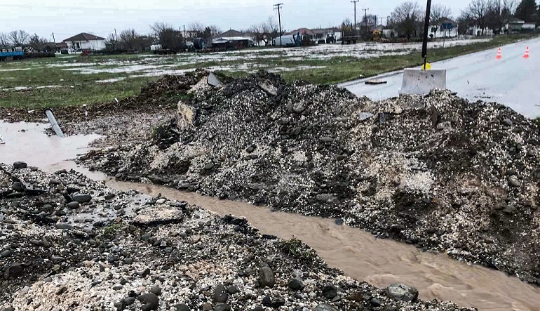 Κακοκαιρία «Διομήδης»: 142 κλήσεις στην Πυροσβεστική για αντλήσεις υδάτων, κοπές δέντρων και απεγκλωβισμούς