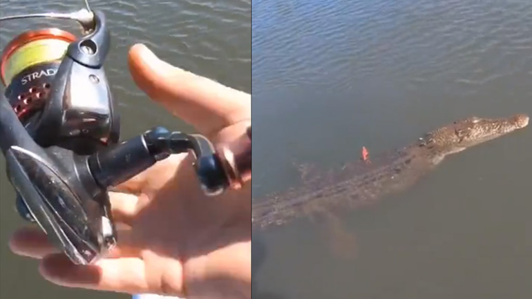 Ο ψαράς έπιασε έναν κροκόδειλο