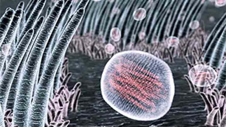 Για δίδυμη πανδημία γρίπης και κορωνοϊού προειδοποιεί το ECDC