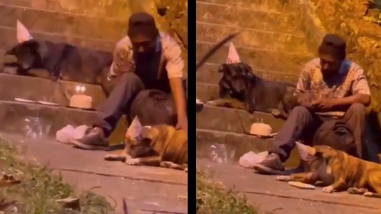 Ένας άστεγος γιορτάζει τα γενέθλια του σκύλου του