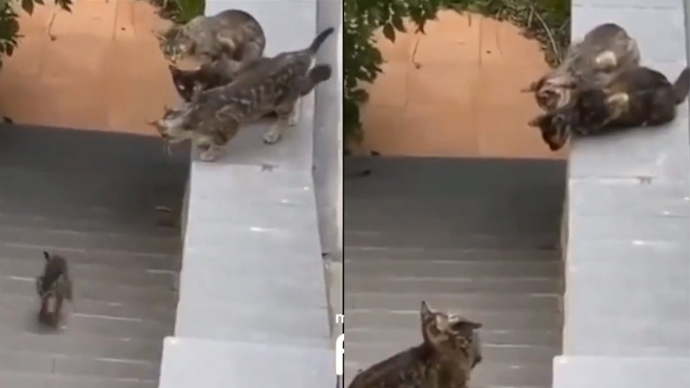 Δεν μένει κανείς πίσω!