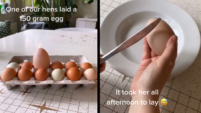 Αβγό με έκπληξη