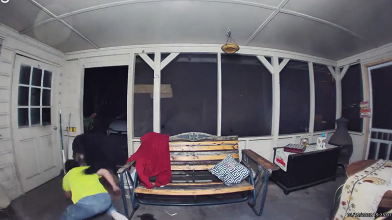 Αρκούδα εισβάλλει σε σπίτι και επιτίθεται σε άνδρα που προστατεύει τους σκύλους του