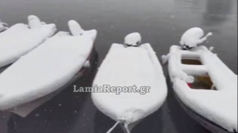 Στα λευκά όλα τα παράλια της Φθιώτιδας, από τις Ράχες μέχρι την Αρκίτσα και τη Λάρυμνα