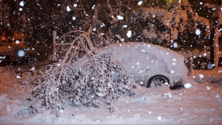 ΥΠΕΝ: Έντεκα συνεργεία υλοτόμων για την απόληψη πεσμένων δένδρων