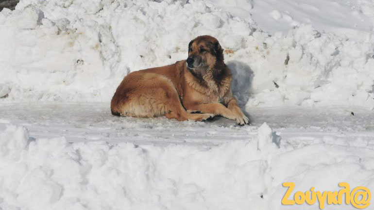 Οδοιπορικό στα βόρεια προάστια που είχε χτυπήσει η κακοκαιρία «Μήδεια»