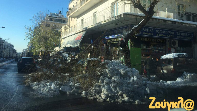 Πτώσεις δέντρων στο κέντρο της πόλης