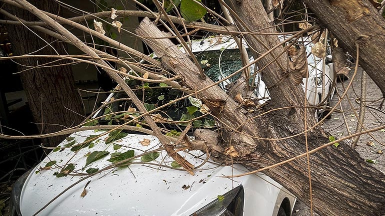 Αποζημίωση στους ιδιοκτήτες αυτοκινήτων που υπέστησαν ζημιές από πτώσεις δένδρων υποσχέθηκε ο δήμαρχος Αθηναίων