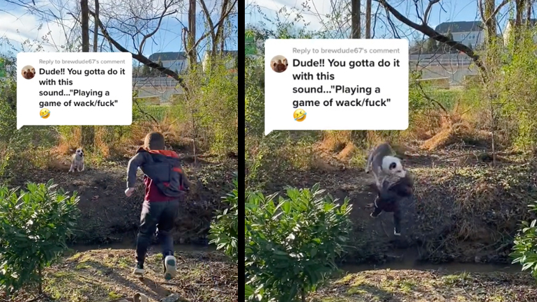 Σκύλος συγκρούεται με ένα παιδί στον αέρα 