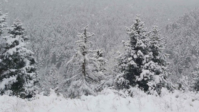 Επιχείρηση διάσωσης 21χρονου σκιέρ στα Τζουμέρκα