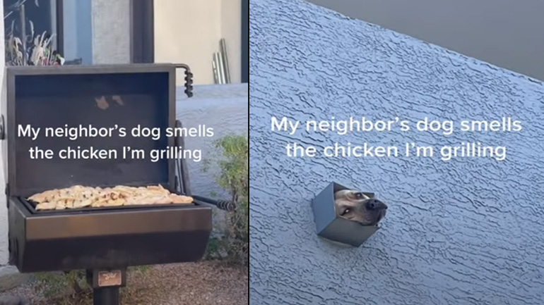 Όταν ο σκύλος του γείτονα μυρίζει ψητό κρέας