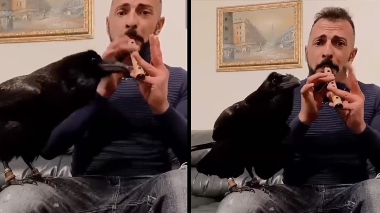 Αχτύπητο δίδυμο