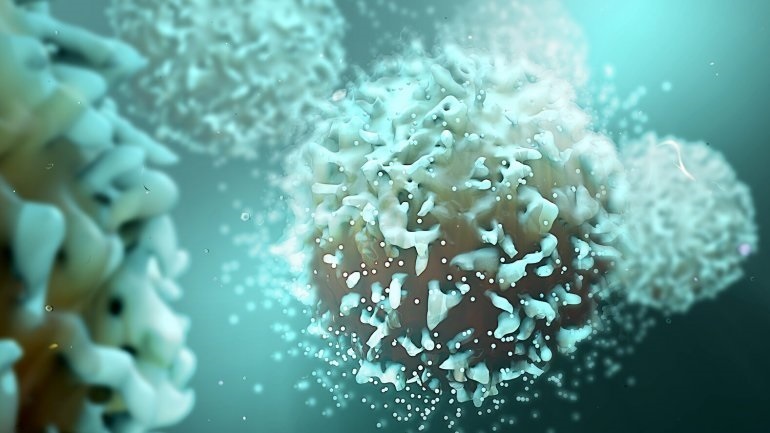 Νότια Κορέα: Πάνω από 18.000 περιστατικά και 17 θάνατοι εξαιτίας της COVID-19 σε 24 ώρες