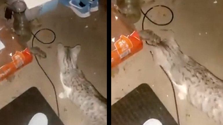 Αυτό είναι ένα δώρο, από μένα για σένα!