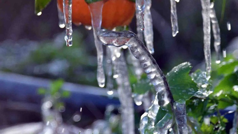 Δύο ακραία θερμοκρασιακά «πρόσωπα» είχε ο φετινός Ιανουάριος Δύο ακραία θερμοκρασιακά «πρόσωπα» είχε ο φετινός Ιανουάριος