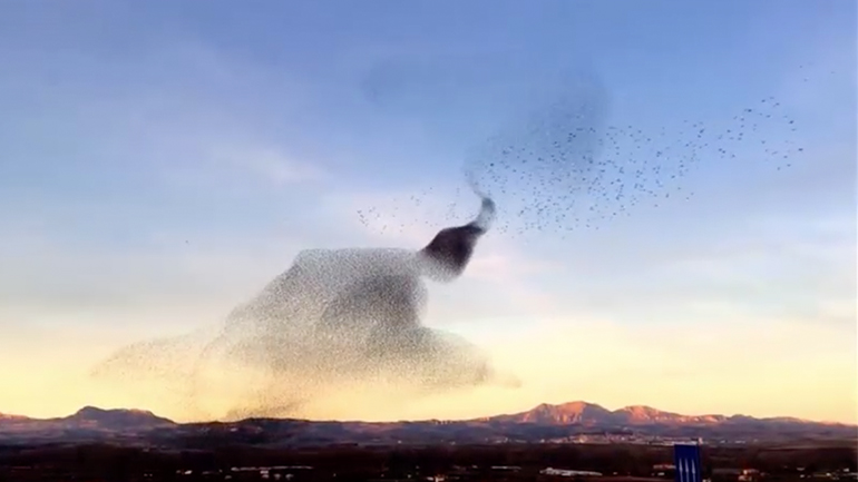 Απίστευτη ομορφιά