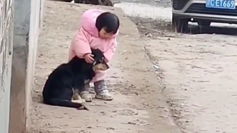 Kοριτσάκι προστατεύει ένα σκύλο από τα πυροτεχνήματα