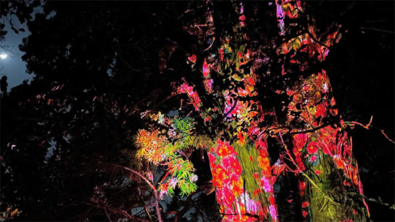 Μια εντυπωσιακή ψηφιακή εγκατάσταση στους Κήπους Kairakuen στην Ιαπωνία