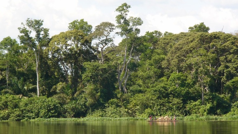 Και τα δάση έχουν αυτιά! Πυροβολισμούς, καλέσματα ζώων και ό,τι ακούγεται καταγράφουν ειδικοί αισθητήρες