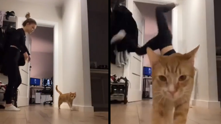 Θα σας δείξω ένα κόλπο!