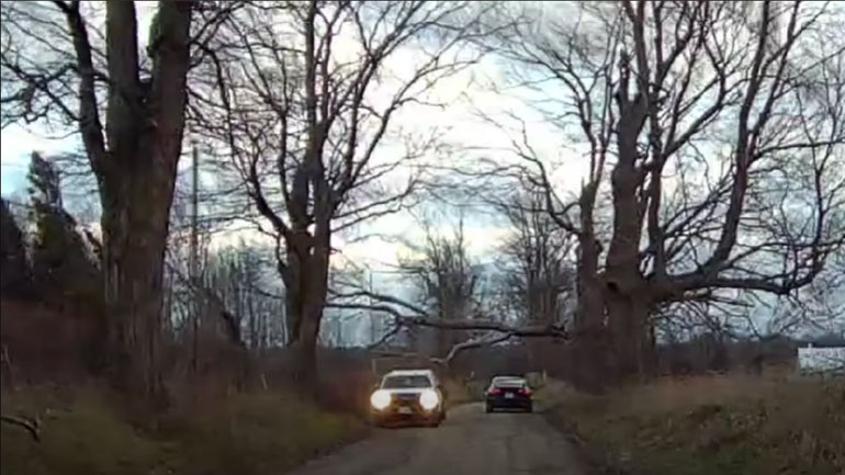 Μήπως αυτός ο γάμος δεν έπρεπε να γίνει;