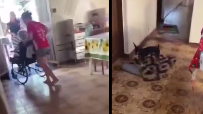 Ο σκύλος φροντίζει για τη γιαγιά