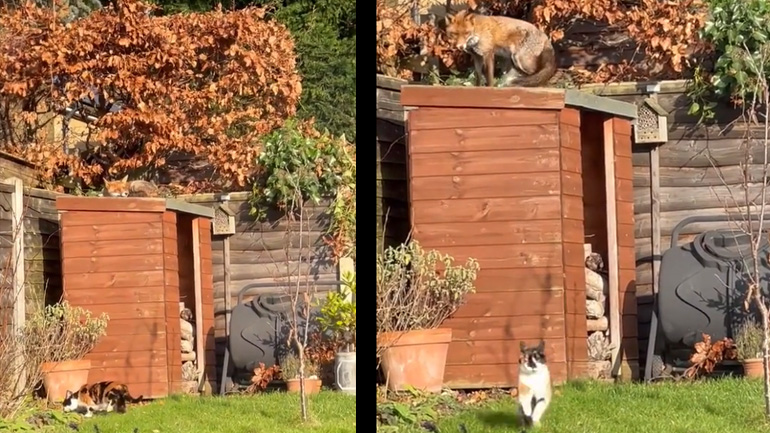 Ας το λήξουμε ήρεμα