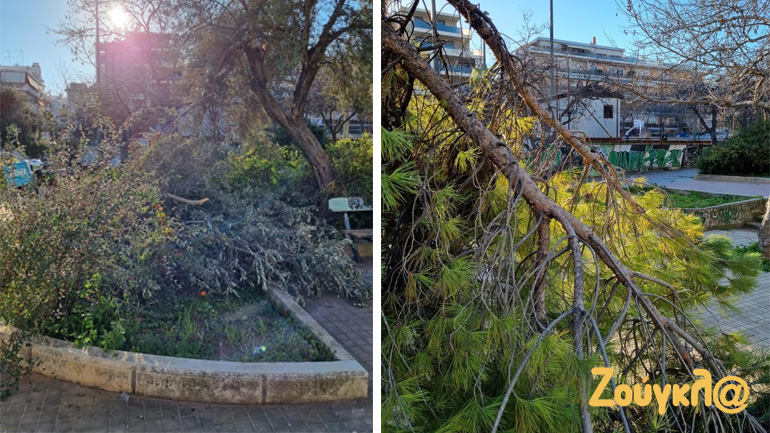 Τα χιόνια έφυγαν, τα πεσμένα δέντρα έμειναν, στο πάρκο Ελληνορώσων Τα χιόνια έφυγαν, τα πεσμένα δέντρα έμειναν, στο πάρκο Ελληνορώσων