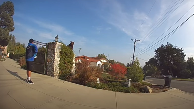 Κούριερ συναντά μια αρκούδα κατά τη διάρκεια μιας παράδοσης