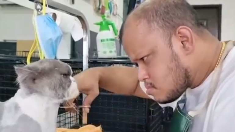 Βρες τις διαφορές!