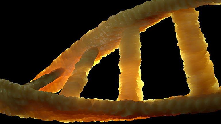 Μετά την ανακάλυψη του εμβολίου κατά του κορωνοϊού, οι πρωτοπόροι του mRNA στρέφονται στον καρκίνο