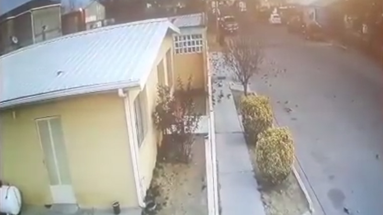 Σμήνος αποδημητικών πουλιών πέφτει στο έδαφος 