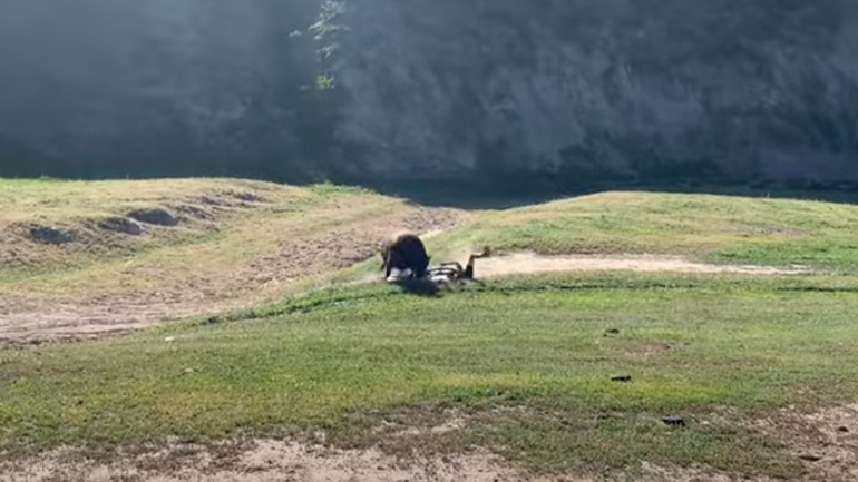 Ποδηλάτης εναντίον ταύρου