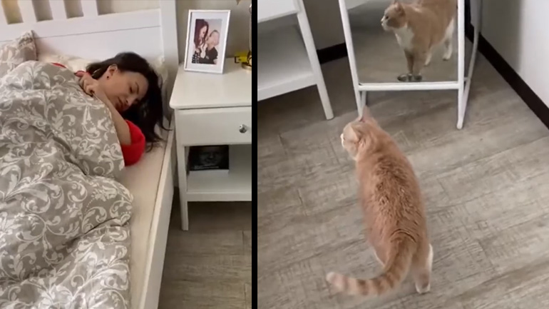 Το ξυπνητήρι