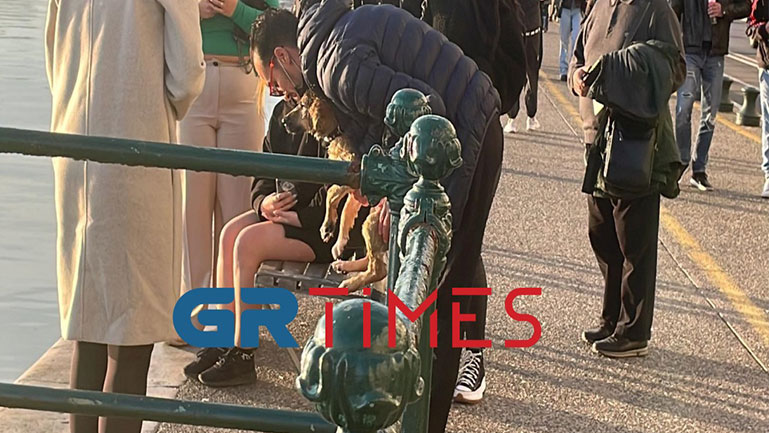 Θεσσαλονίκη: Βούτηξε στον Θερμαϊκό για να σώσει ένα σκυλάκι!