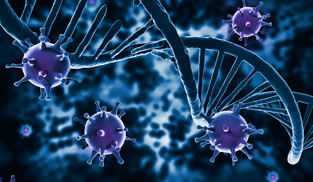 Το ανοσοποιητικό σύστημα βοηθά και ένα υγιές σώμα