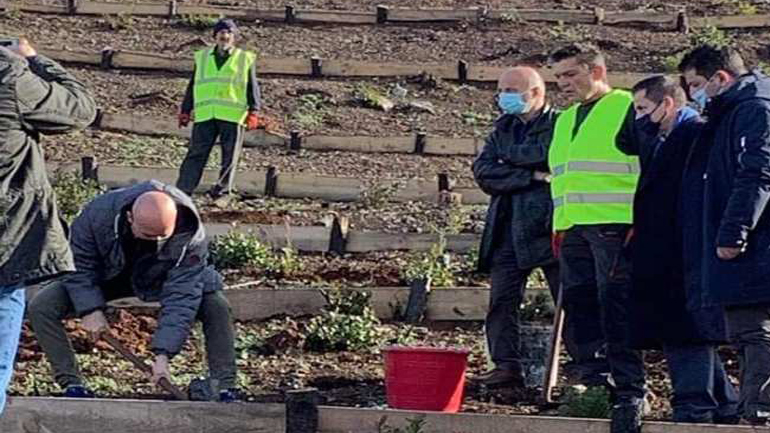 Δύο αναδασώσεις στη Β. Εύβοια – Φυτεύτηκαν 4.000 δέντρα σε καμένες εκτάσεις
