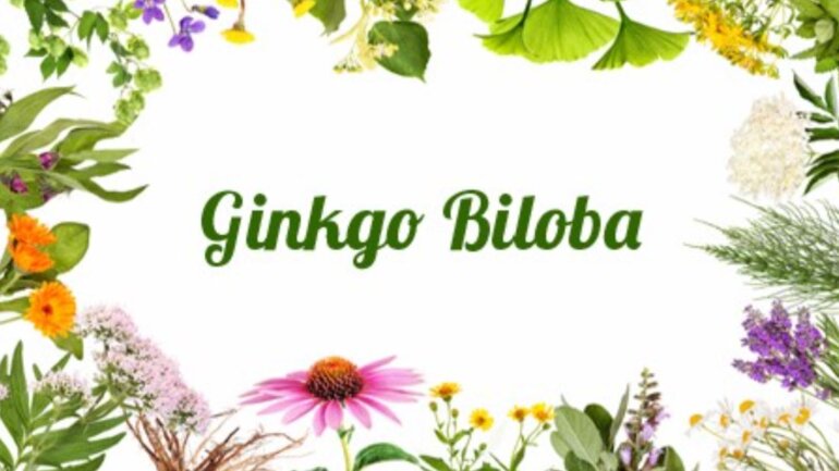 Πώς τα βότανα μπορούν να προστατεύουν την καρδιά