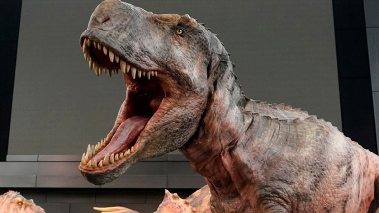 Υπήρχαν πιθανώς τρία διαφορετικά είδη Τυραννόσαυρων -Τι εκτιμούν οι επιστήμονες