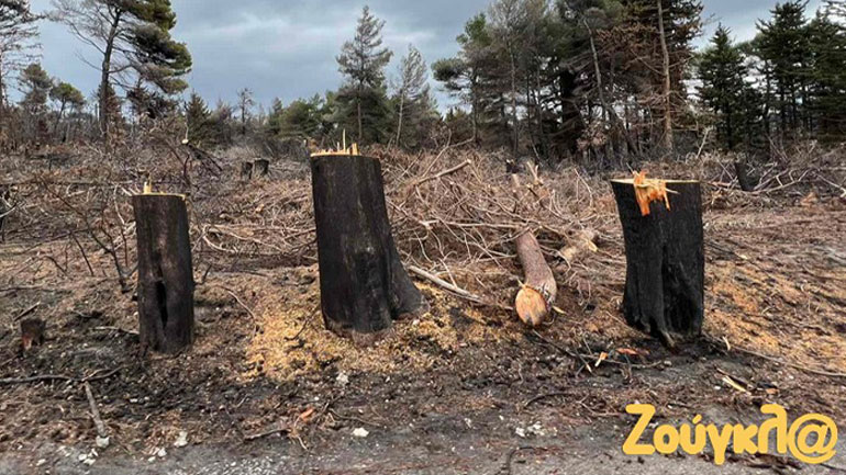 Η Πάρνηθα που μας αποχαιρέτησε