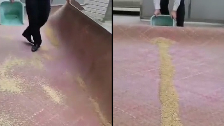 Πώς να σκουπίσετε ένα χαλί χωρίς σκούπα